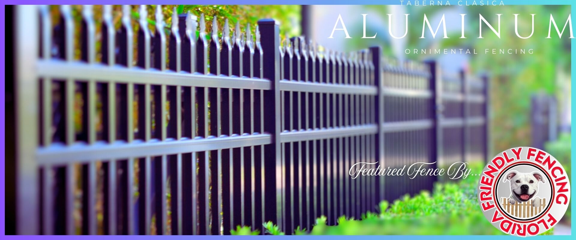 Fencing Image 3