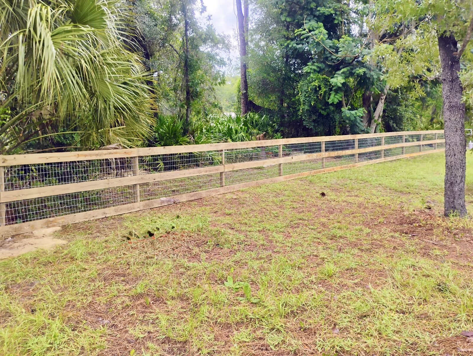 Three-board ranch rail fence with no-climb wire installed in Homosassa, FL