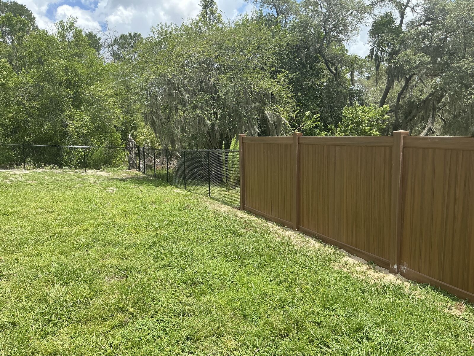 Mocha walnut vinyl privacy fence transitioning to black chain link fence in Spring Hill FL