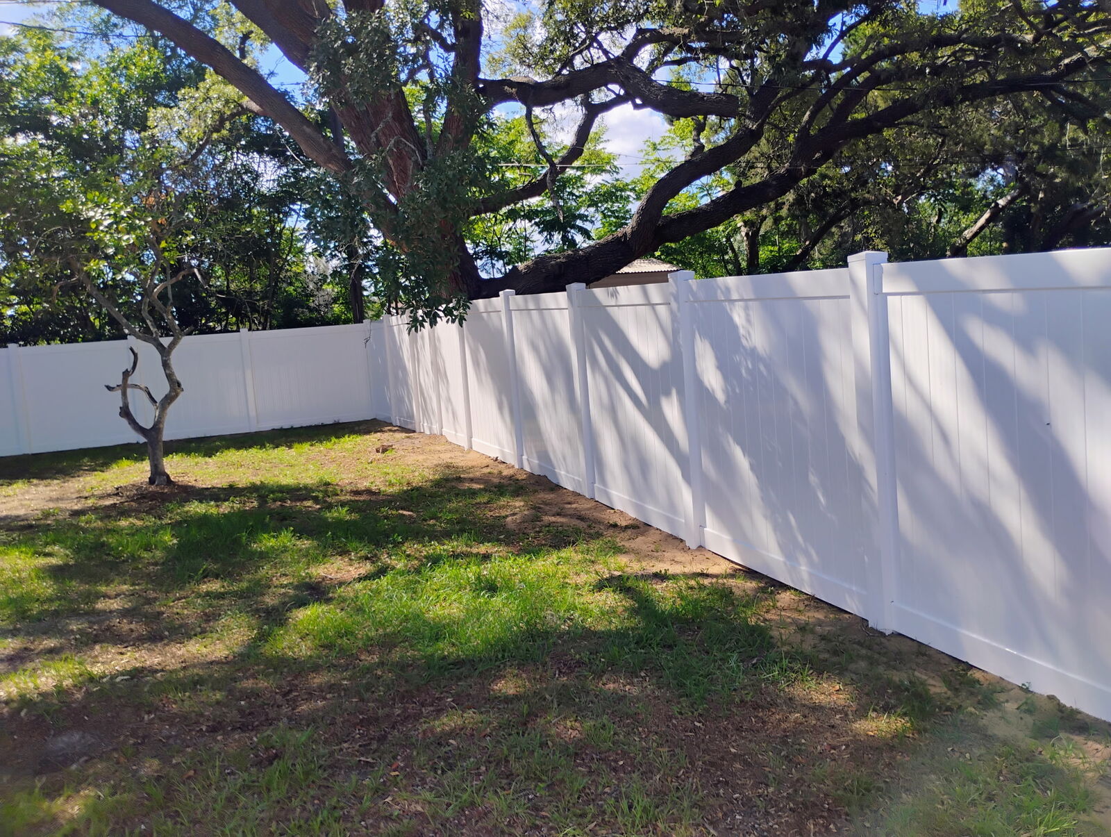 White vinyl privacy fence in a Florida backyard under oak trees installed by Florida Friendly Fencing